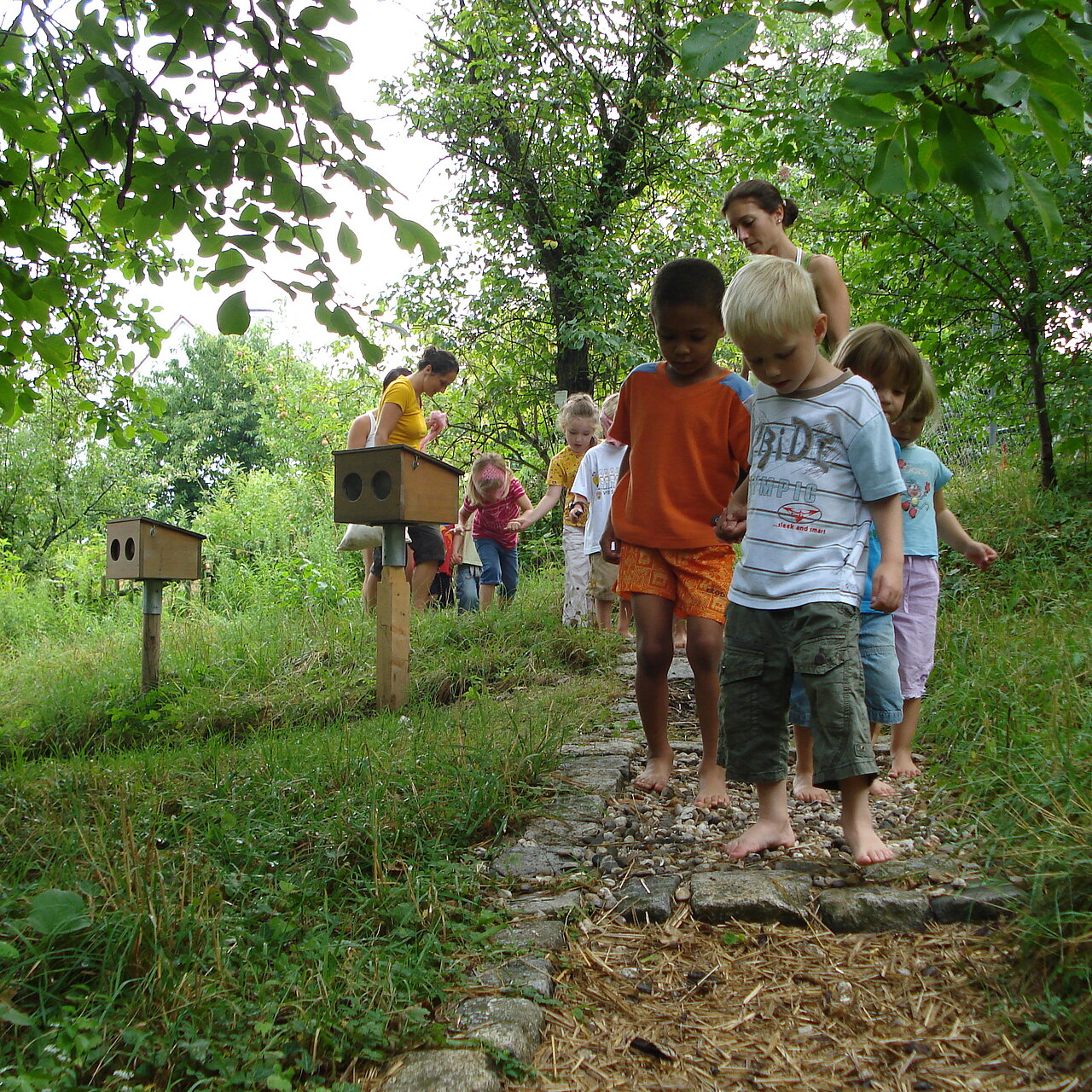 Kinder in der Natur gehen über einen Barfußpfad.