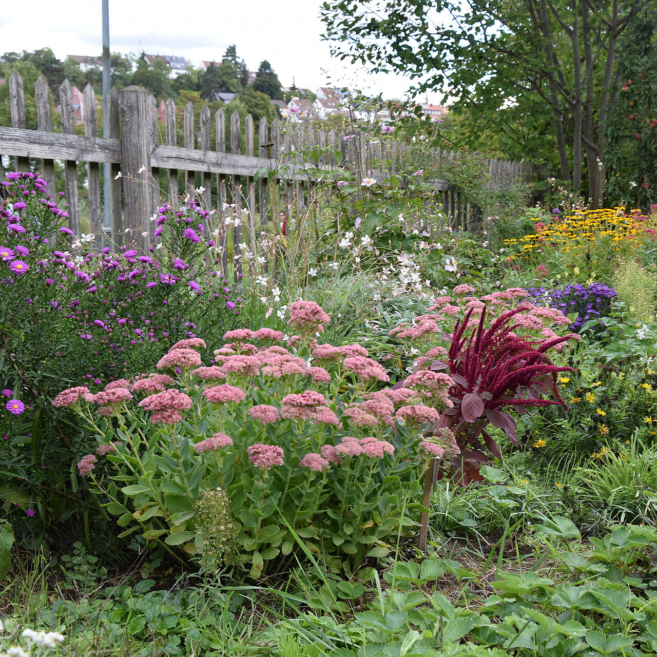 Der Mitmachgarten der ökostation